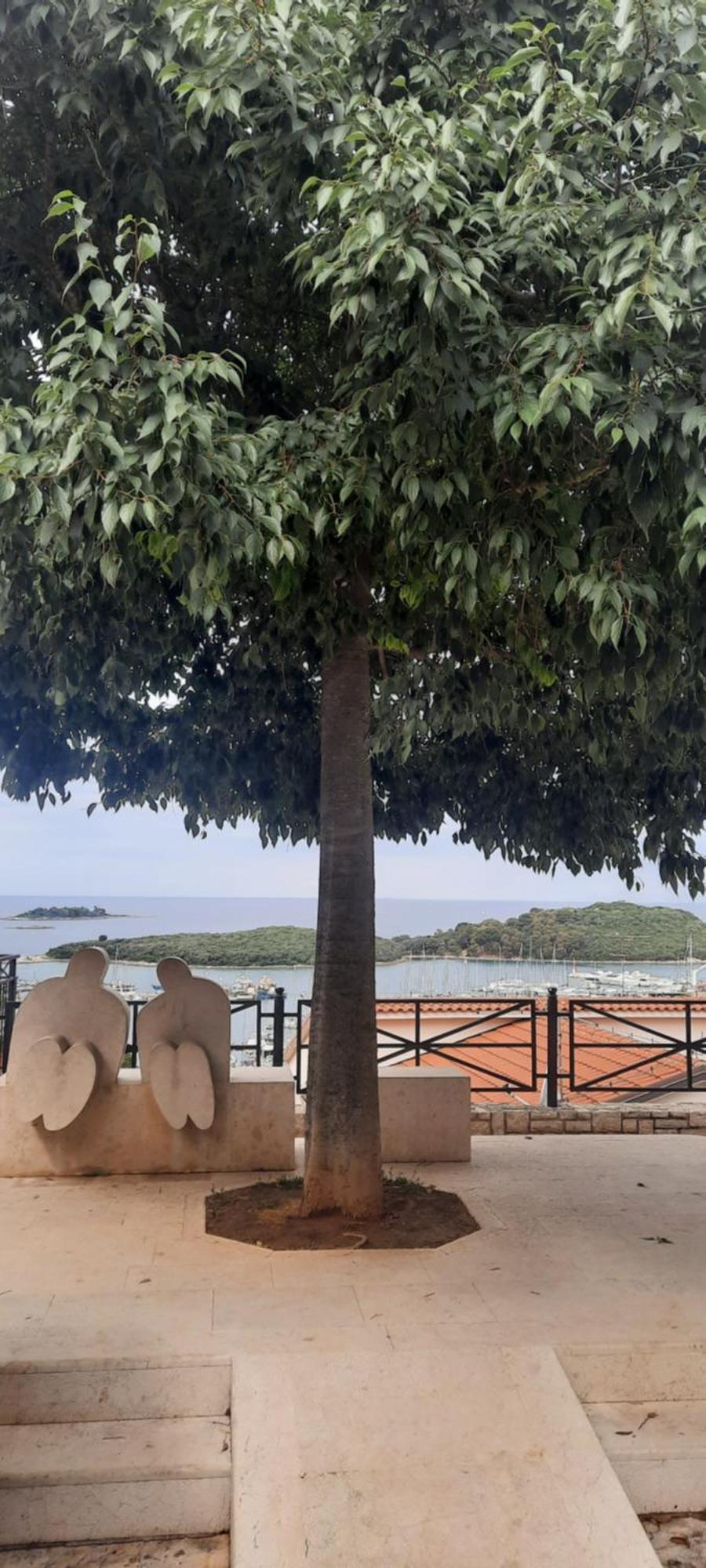 City Center 3 Bedroom Apartment Vrsar Εξωτερικό φωτογραφία